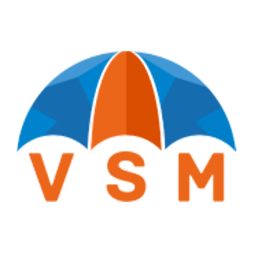 VSM